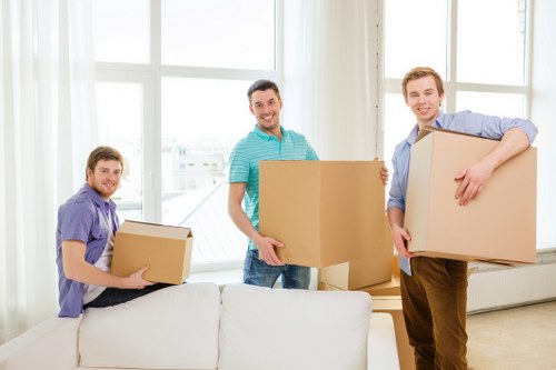 Wardrobe and archive boxes used for residential and commercial packing